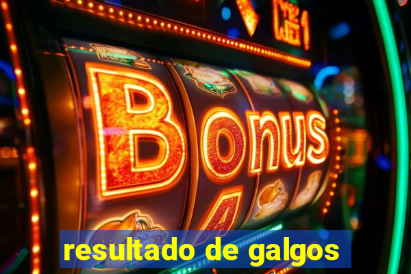 resultado de galgos